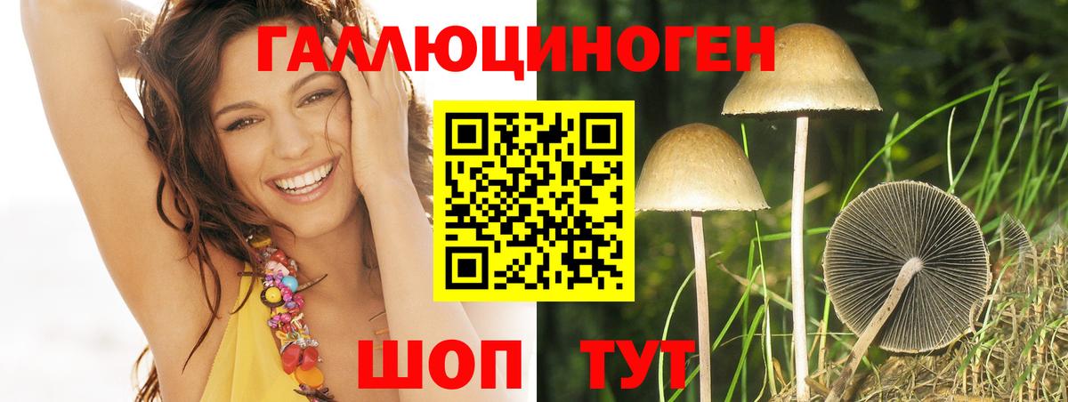 наркотики  Галлюциногенные грибы Cubensis  Вход с VPN  Менделеевск 